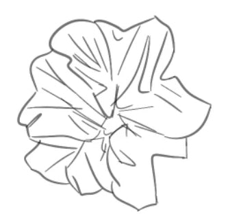 SCRUNCHIE | PREORDER