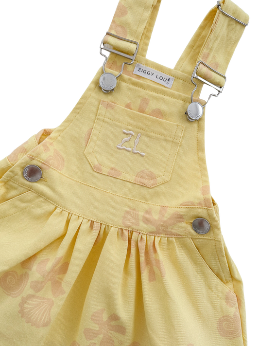 PINAFORE | SEASHELLS