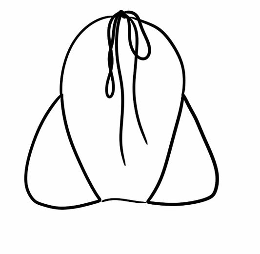 MAMA TRIANGLE BIKINI TOP | PREORDER